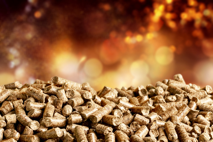 pellet